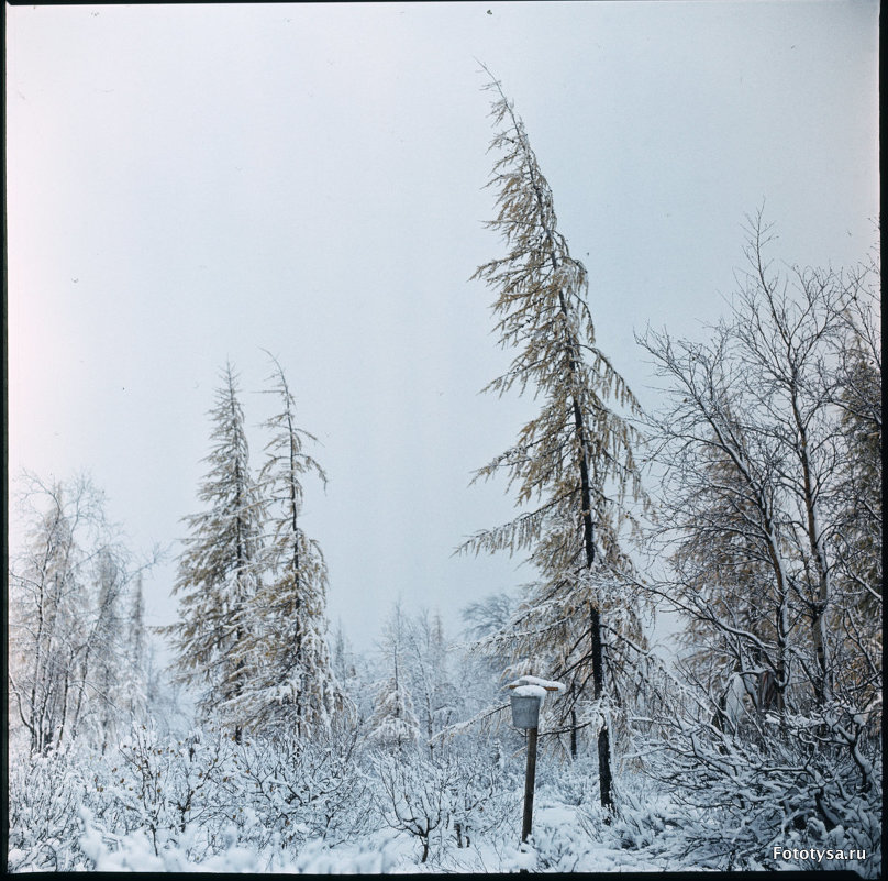 Север, 1987г. - fototysa _