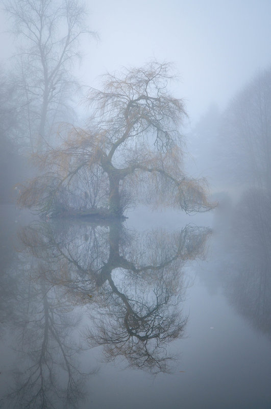 Туман на озере Комо. - Тамара Листопад