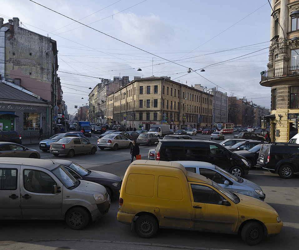 городской муравейник - ник. петрович земцов