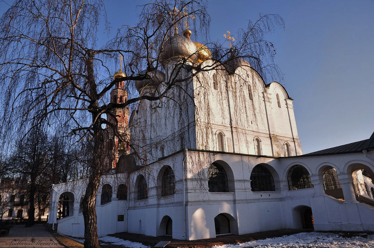 *** - Светлана .