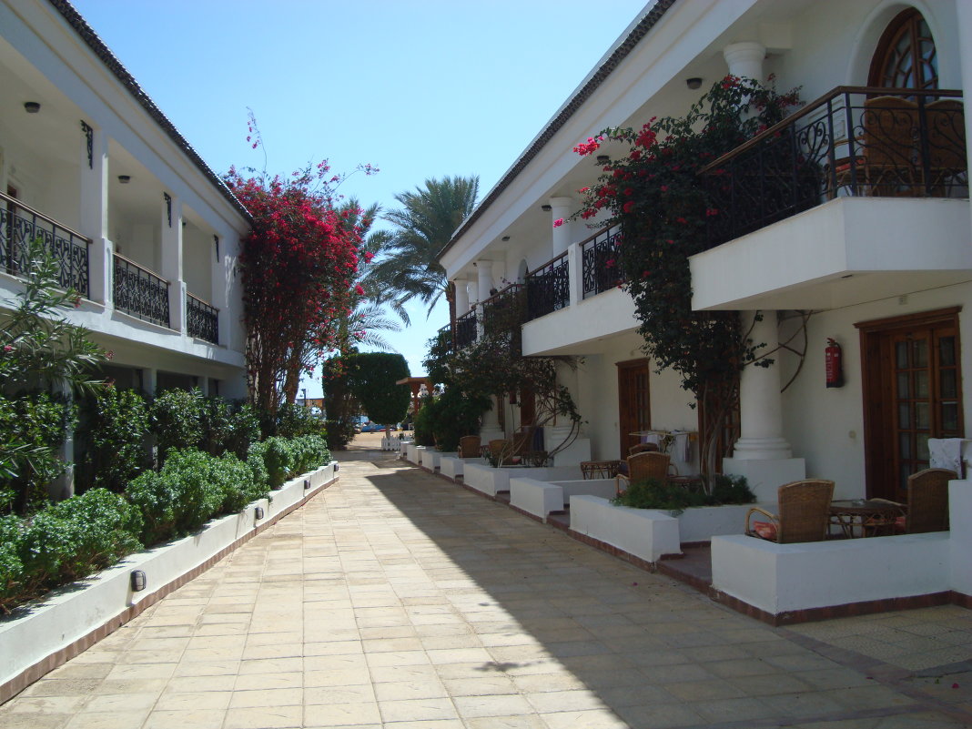 Отель Dessole Seti Sharm Resort.2 - Светлана Шарафутдинова