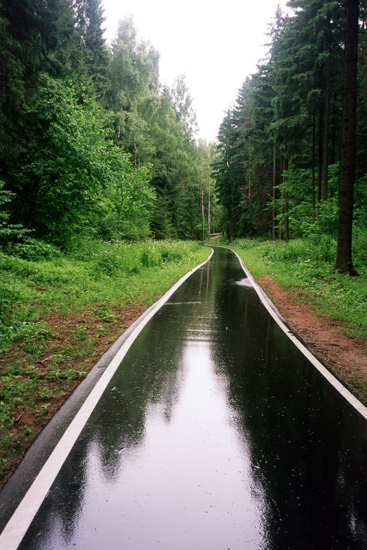После дождя - Сергей Карцев