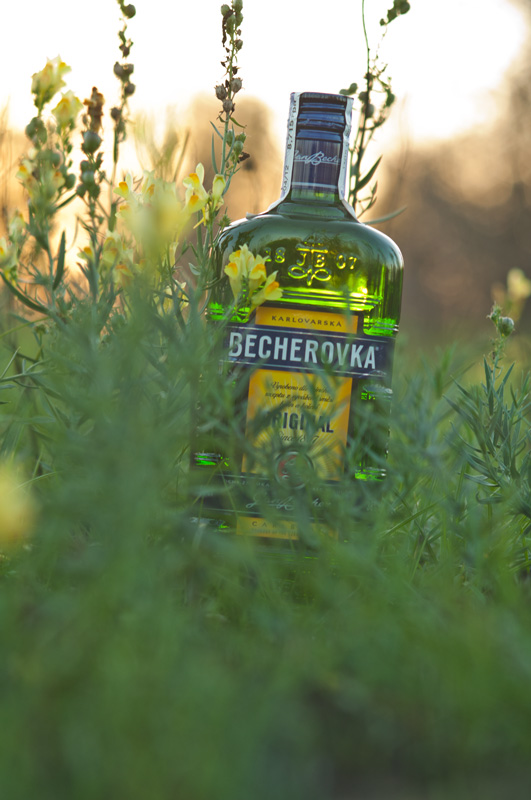 becherovka - Viktor Vishnevskiy