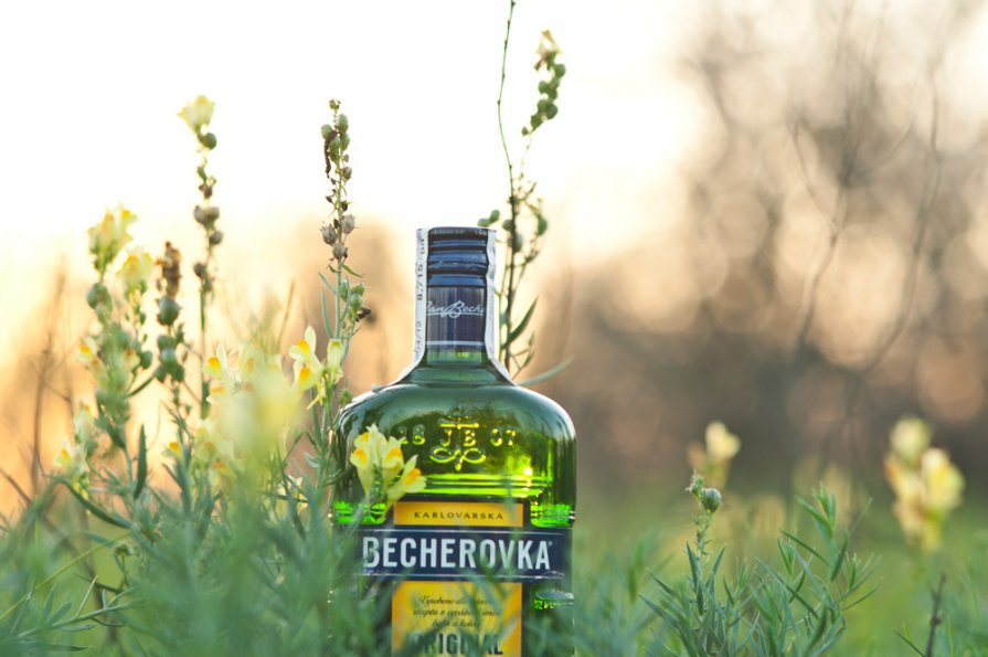 becherovka - Viktor Vishnevskiy