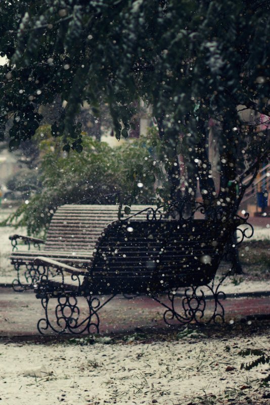 первый снег - Сергей Ли