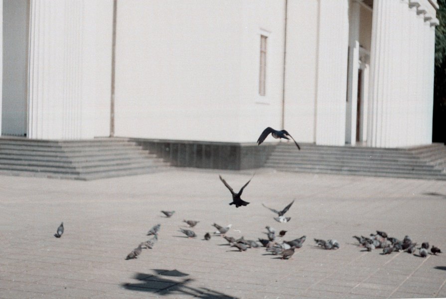 Chisinau - Anastasia GangLiON