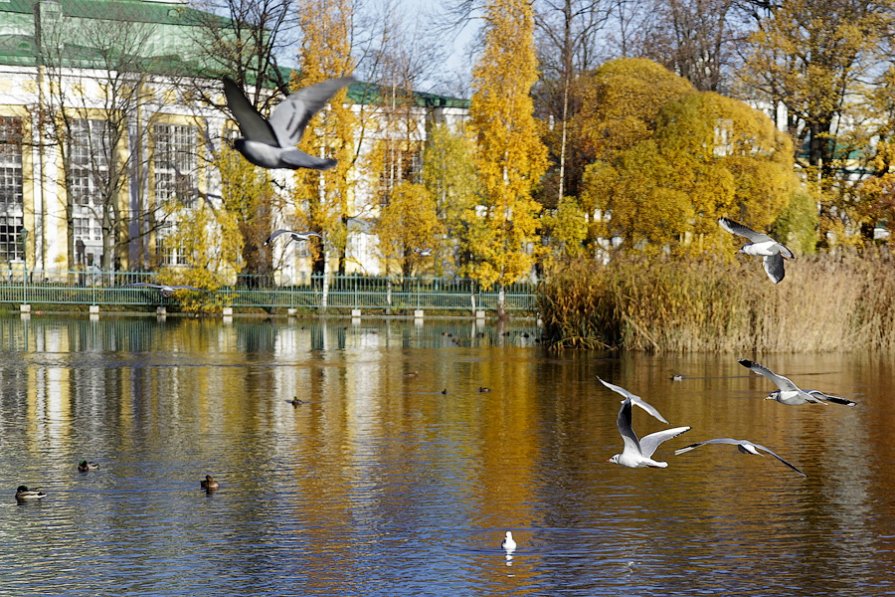 осень - Алексей Кудрявцев