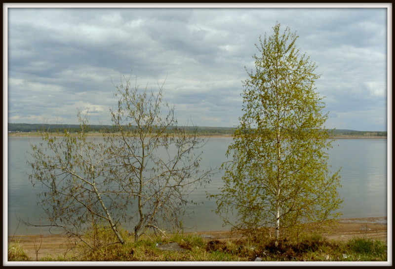 Енисей - Вячеслав Завражнов