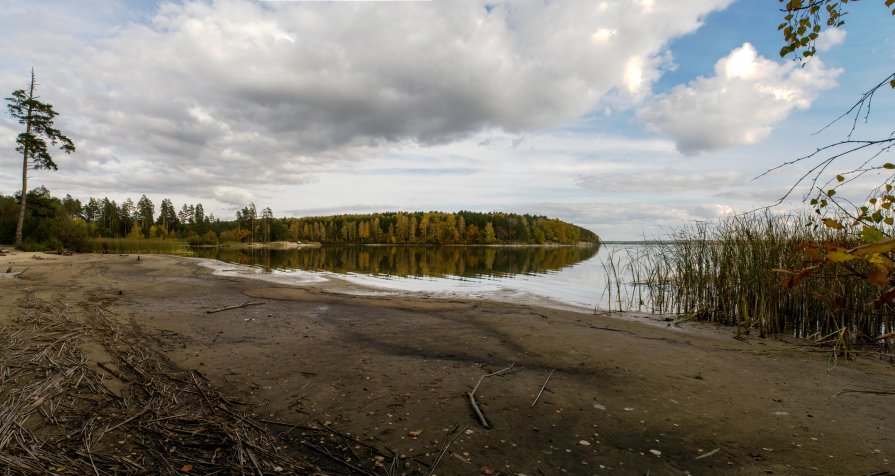 вода ушла... - андрей семёнов