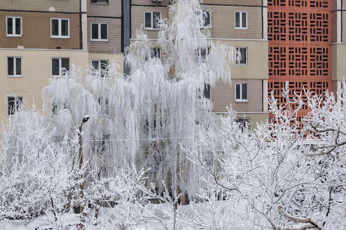 Последний день зимы - Олег Зак