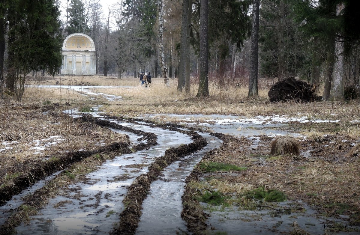 Колея - sv.kaschuk 