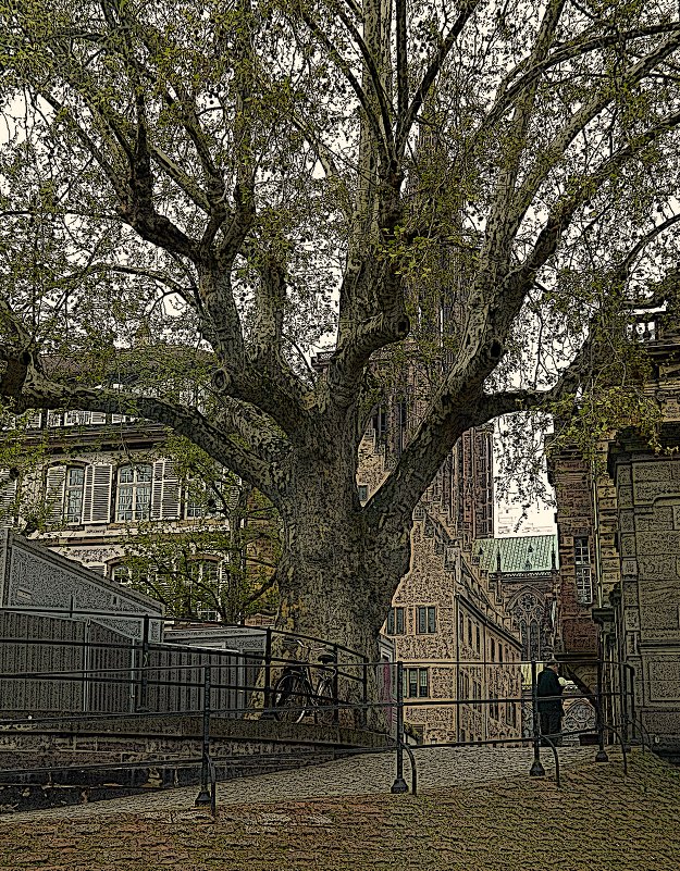 старое дерево старого города - Александр Корчемный