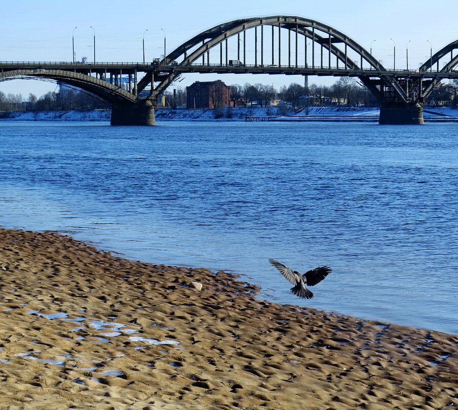 Раскинув серые крыла - Марина Морозова