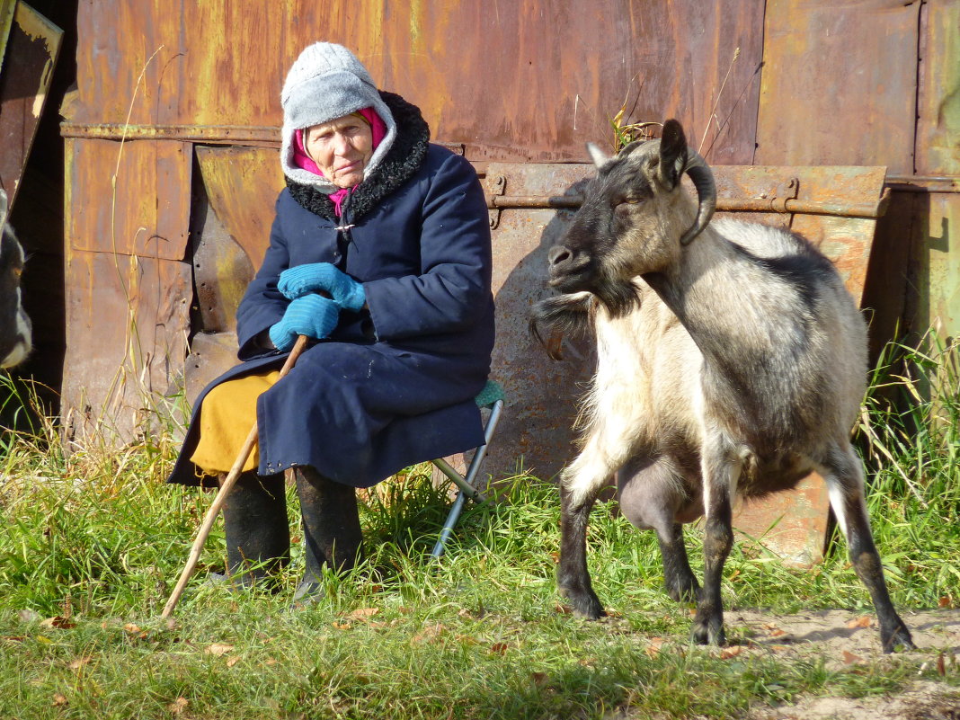 Бабушка и ее козочка - Валерий Талашов