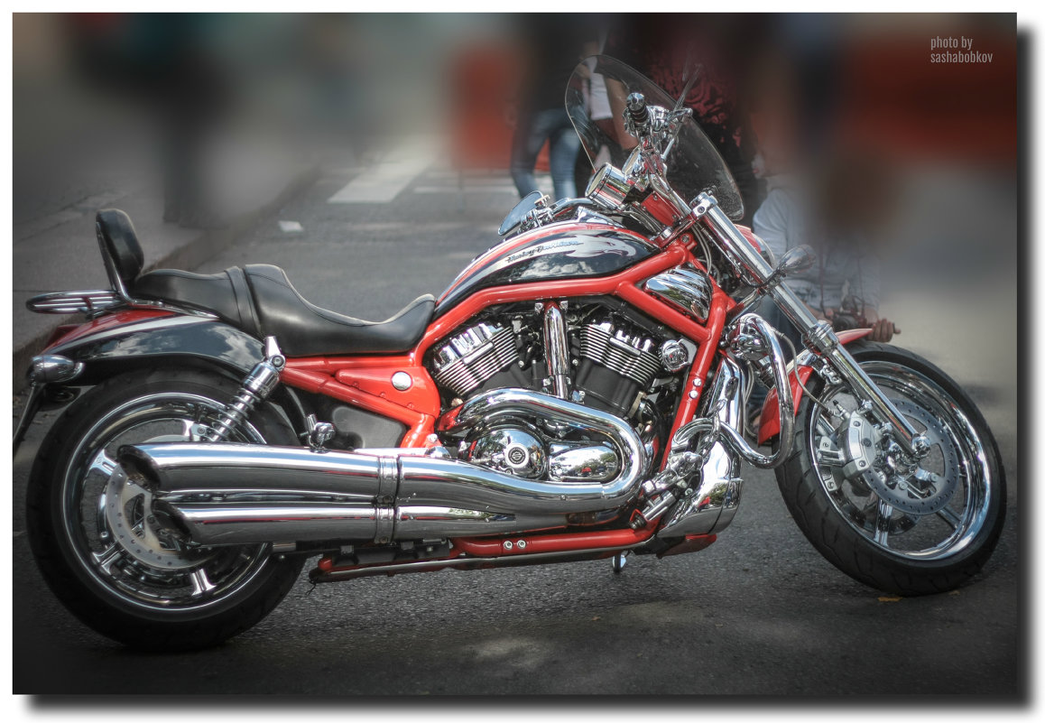 Дни Harley-Davidson в Санкт-Петербурге 2013 - Sasha Bobkov