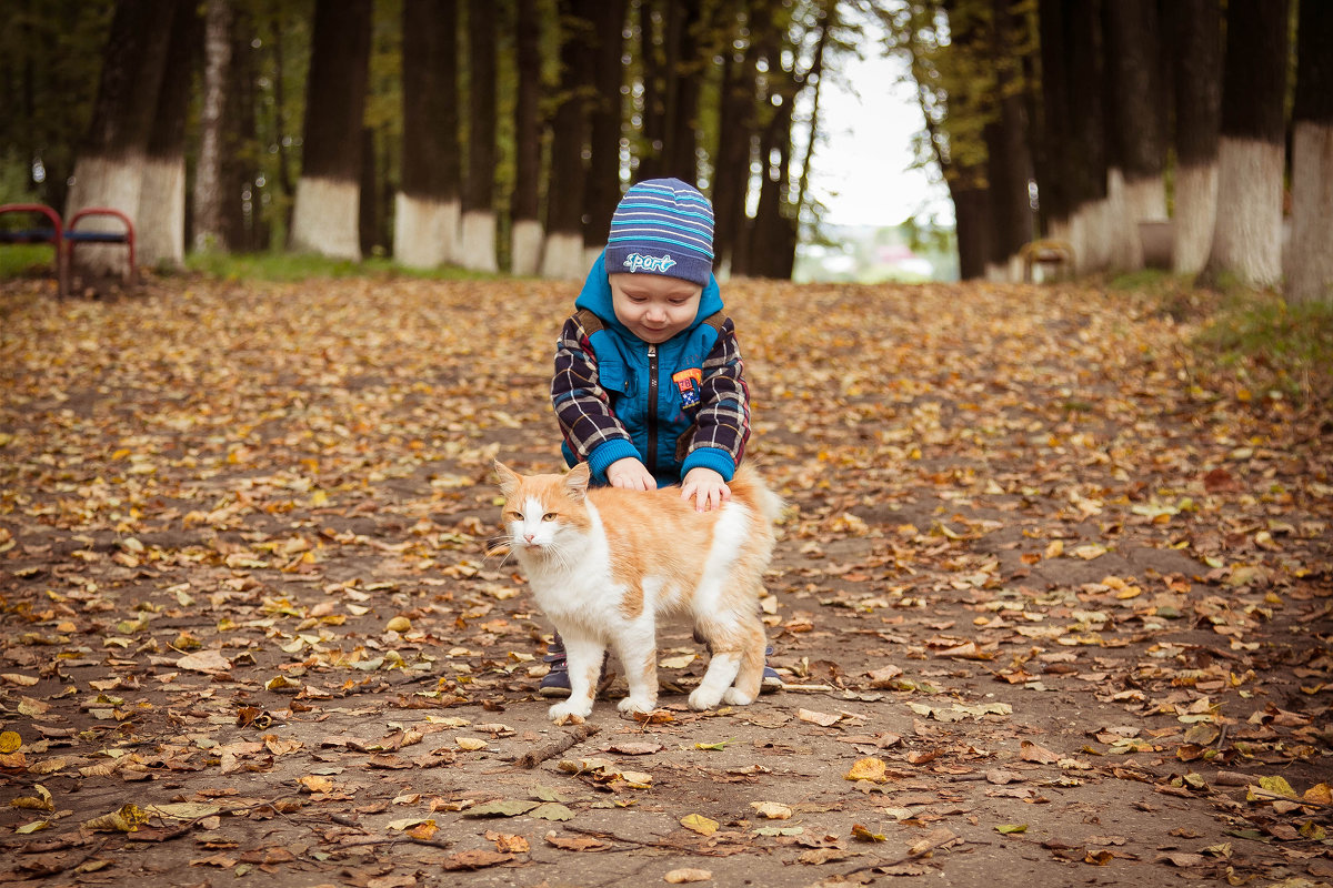 Малыш и кот - Ольга Соктарлва