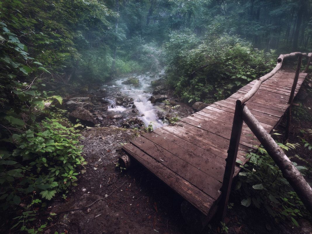 *** - Андрей Кровлин