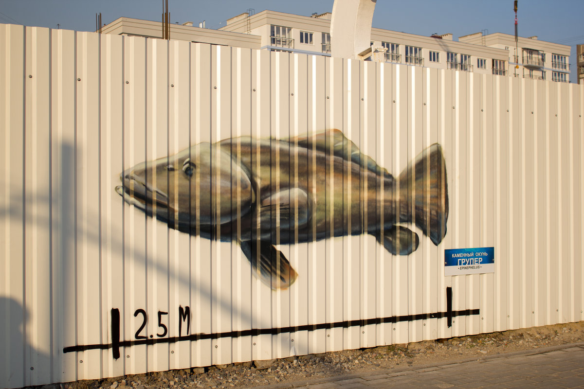 Рыба на заборе - Екатерина Калашникова