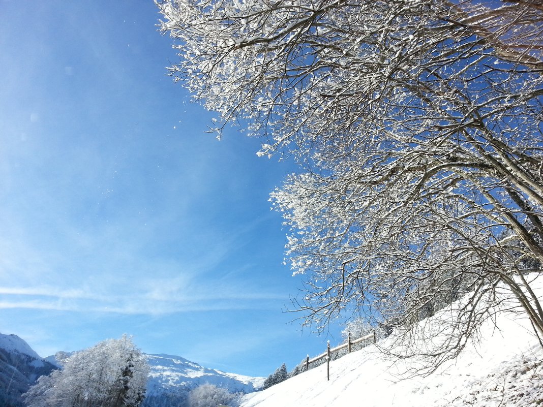 Зима в Австрии - Анна Головашкина