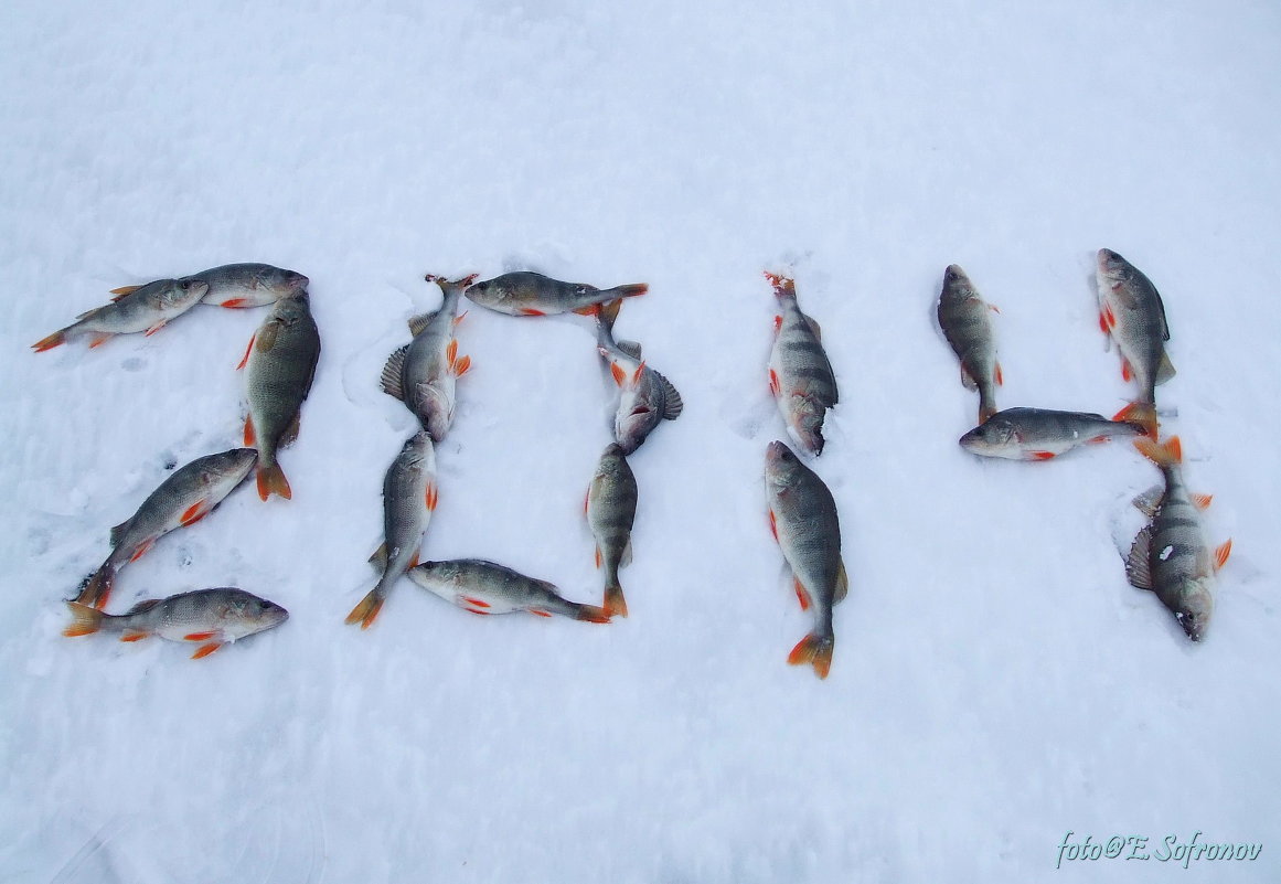 Первая рыбалка в новом году - Евгений Софронов
