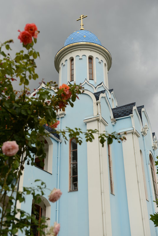 Девичий монастырь - Мария Жданова
