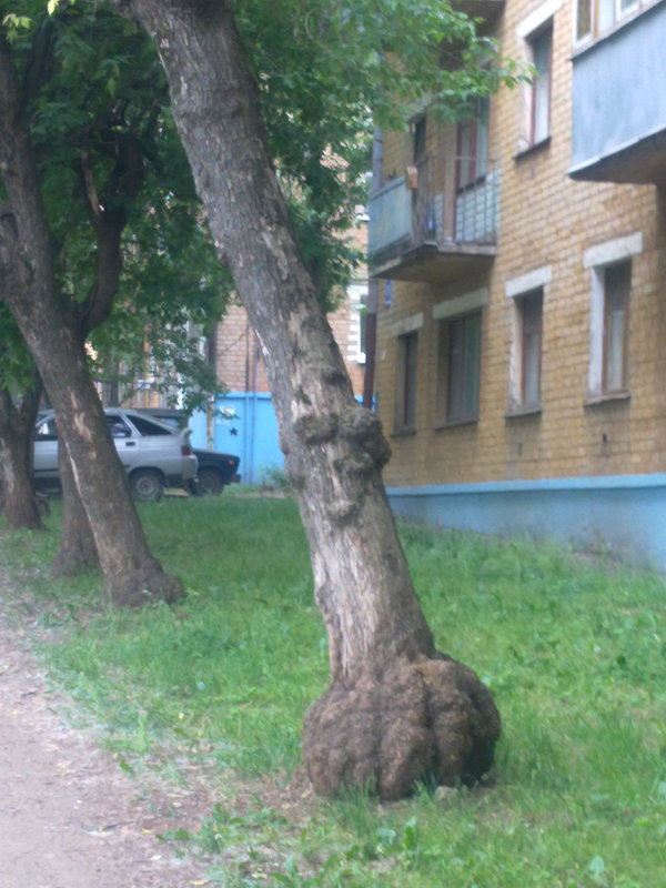 Старость не в радость... - Могуша 