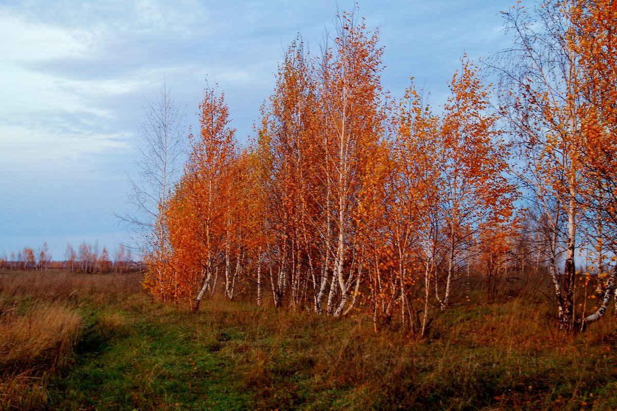 осень - Егор Колесников