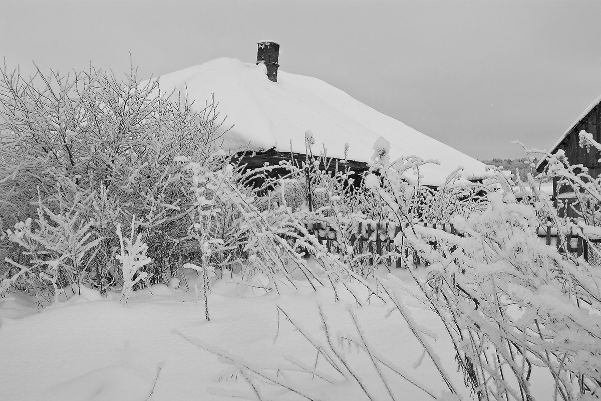 Зима в деревне... - Александр Никитинский