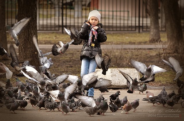 Летите голуби - летите... - Андрей Шейко