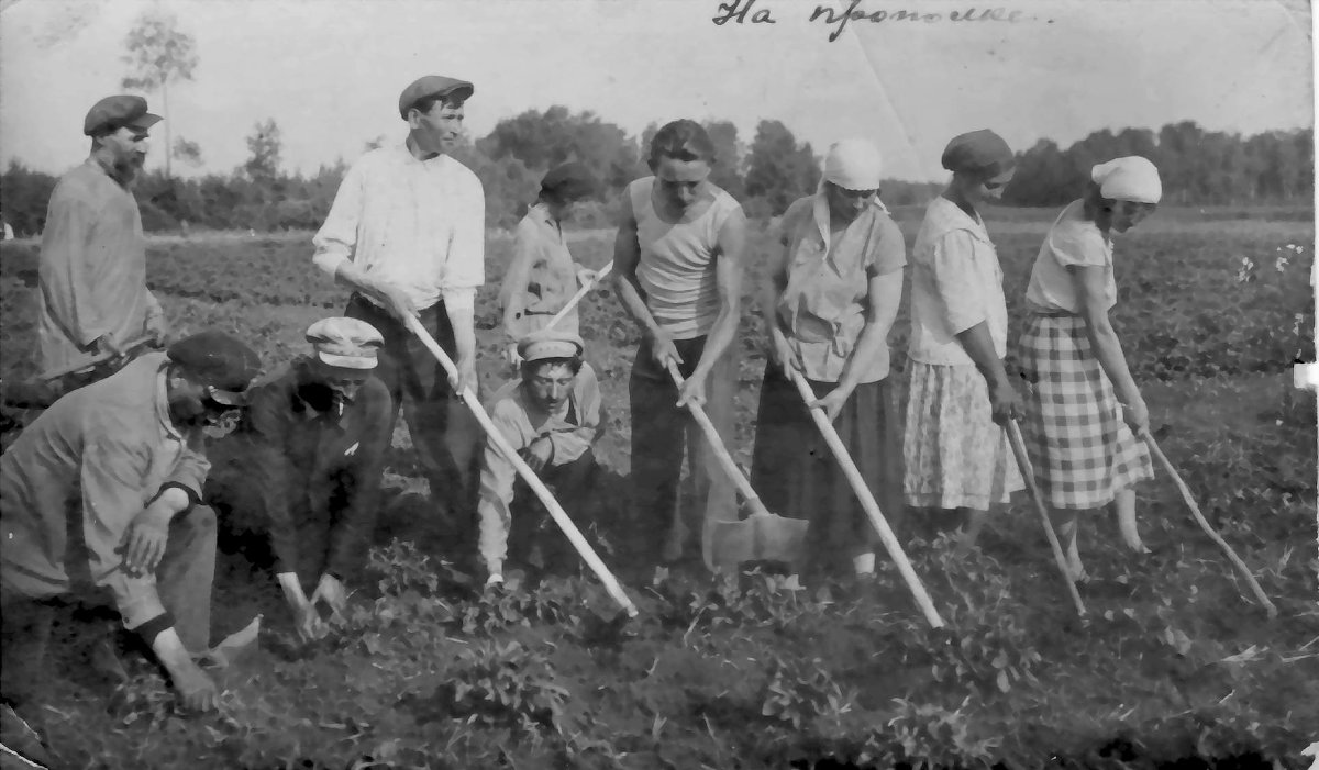 На прополке в с. Харино Омской обл..1933 г. - Олег Афанасьевич Сергеев