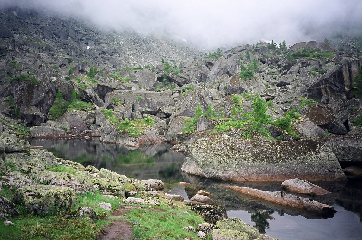 Курумник - Сергей Карцев