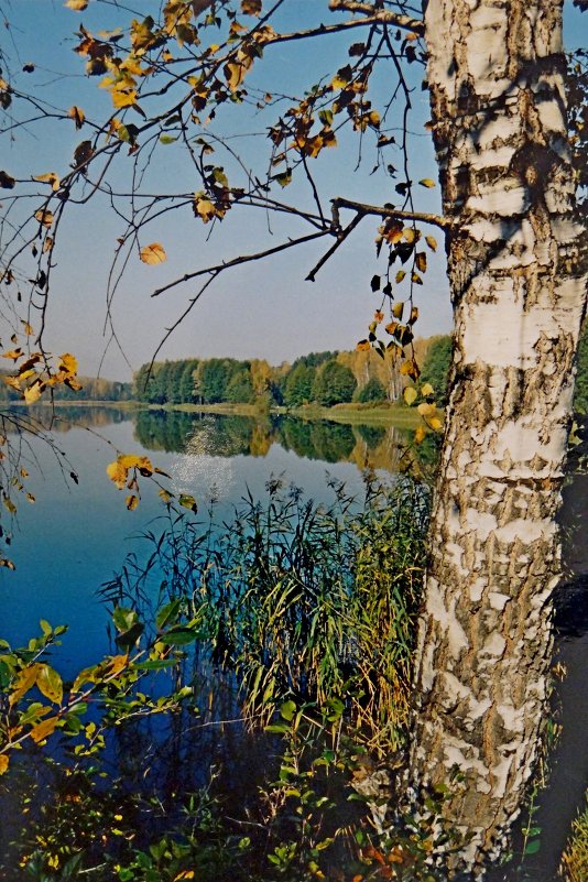 Озеро - Юрий Владимирович 34