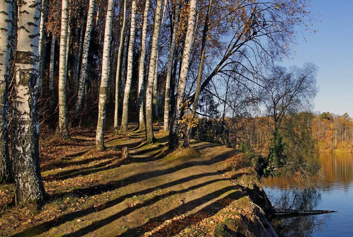 *** - Владимир Воробьев