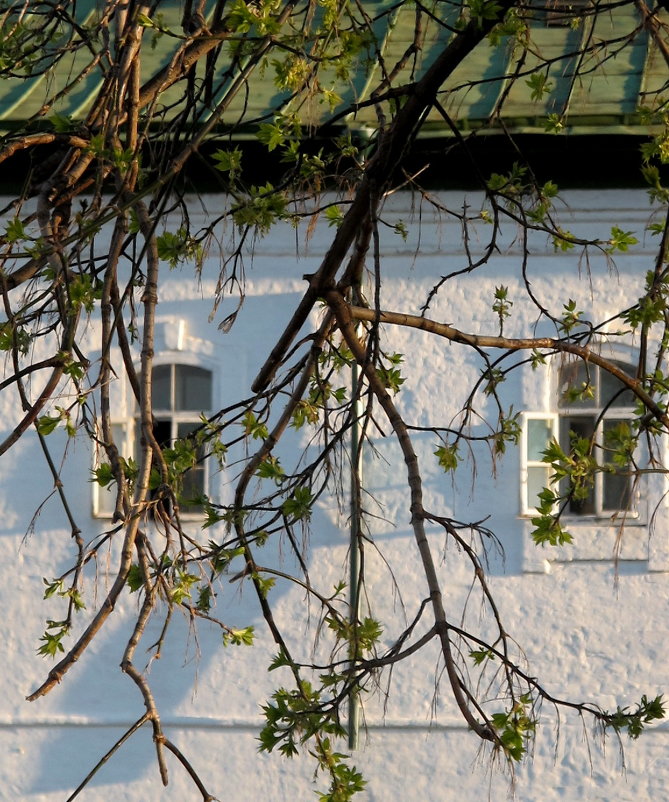 Монастырские окна - anna borisova 