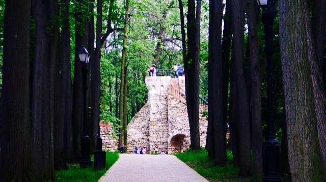 Башня в лесу - Елена S