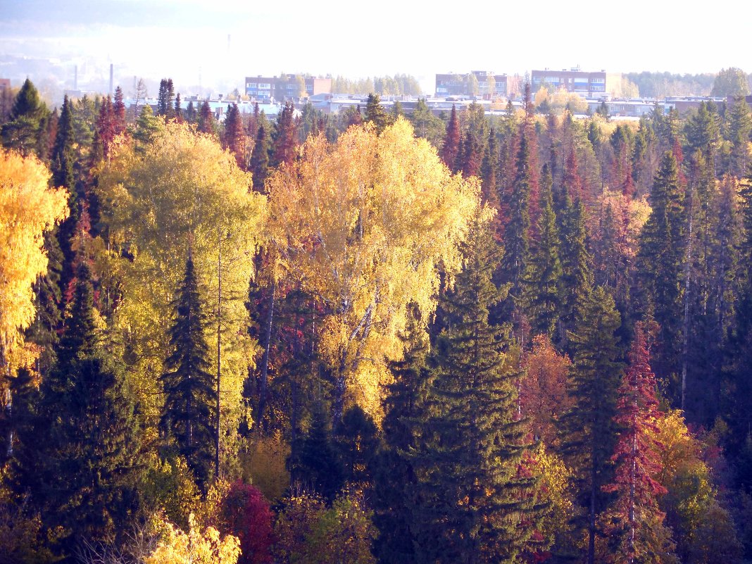 Осень - Николай Реснин 