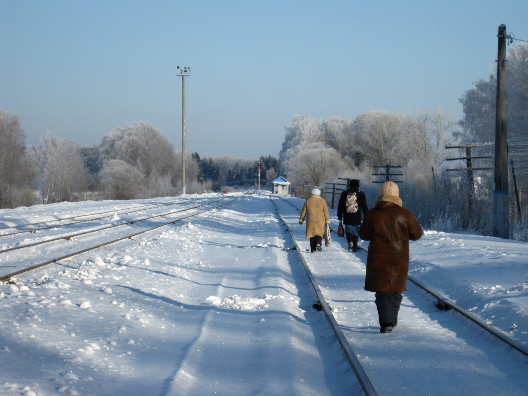 Провинция зимой - Нина Червякова