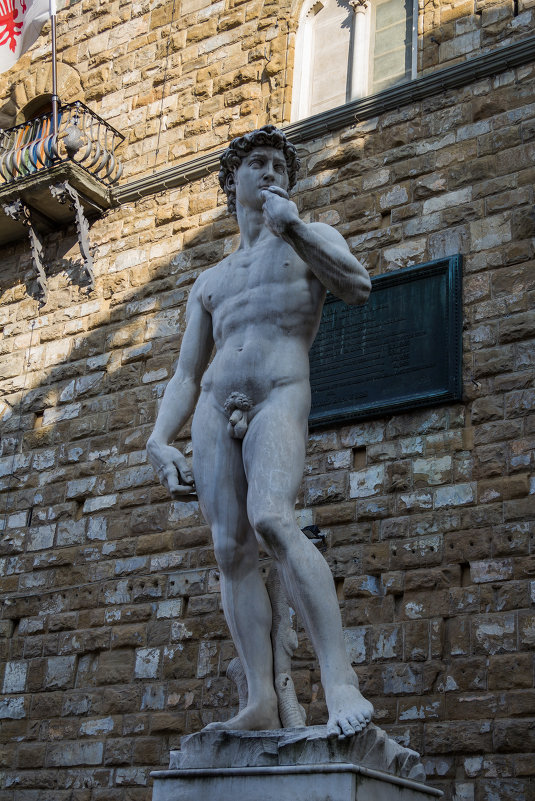 Скульптура Давида (копия, перед Палаццо Веккьо) - Andrey Curie