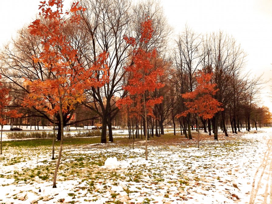 Осень/Зима - pavel b