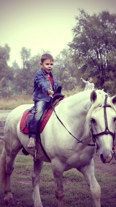 Принц на белом коне - Юлия Кулиева