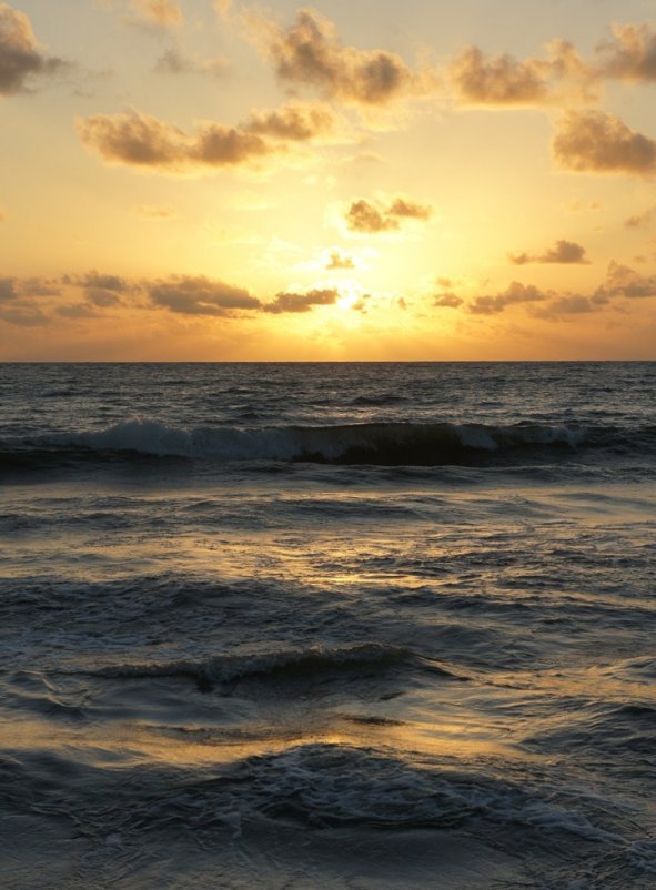 Negombo, Sri Lanka - Евгений А