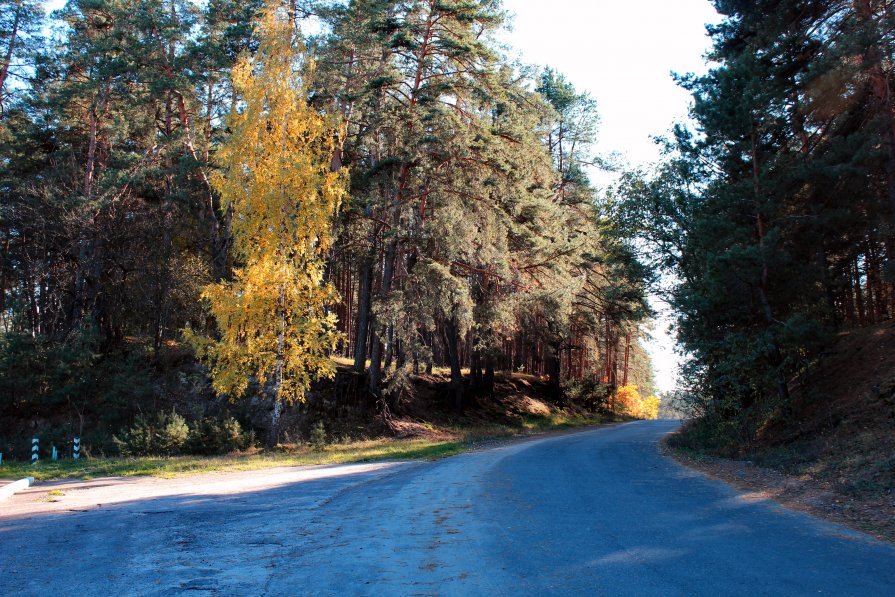 Дорога - Александр Скрипник