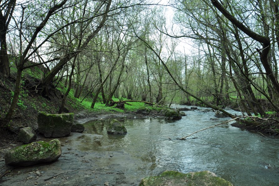 Река - Алина Маримончик
