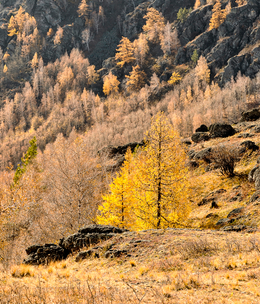 осень в горах...© - Maxxx©  