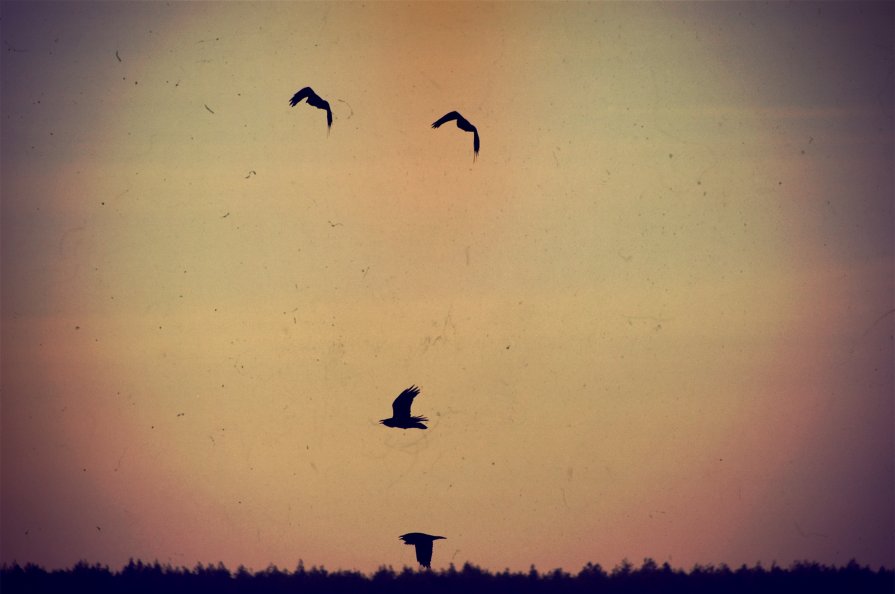 Obloha a vtáky - Натали V