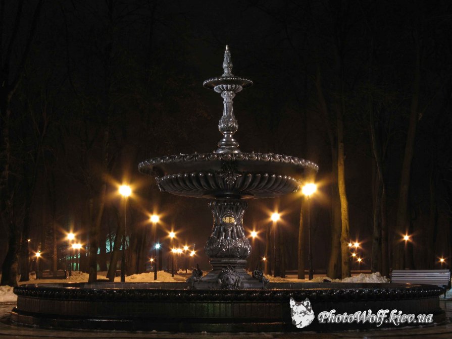 Ночной фонтан в Мариинском парке - Sergey Klyuzko