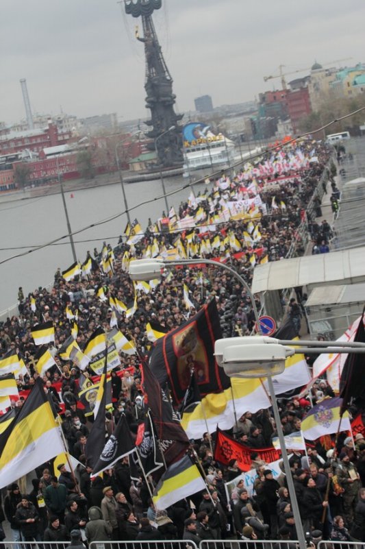 Русский марш-2012, Москва, 04.11.12 г. - Галина Савинич