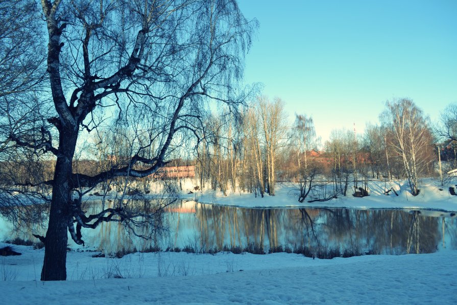 цпкио - Лена Брант