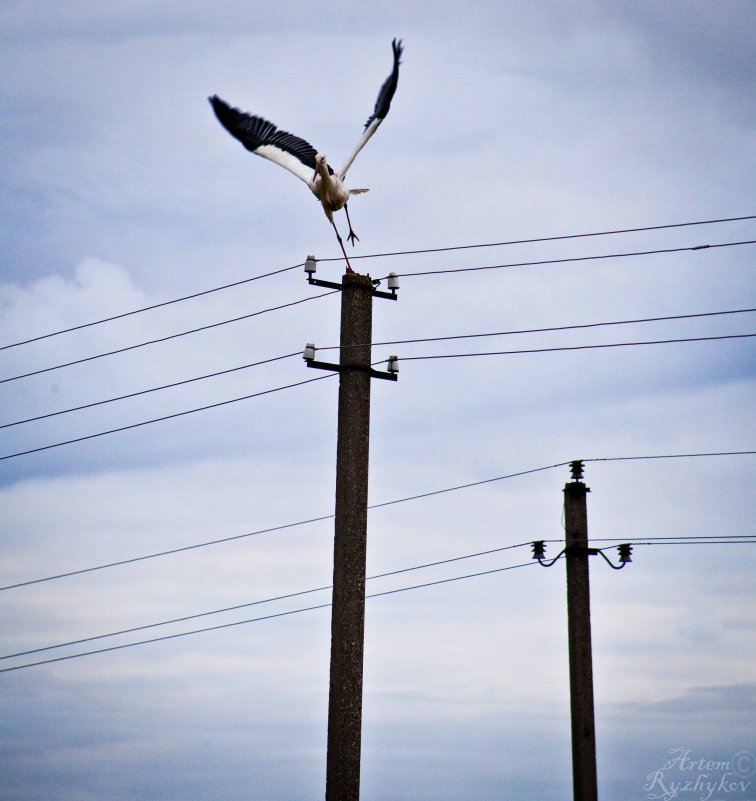 Finding a balance. - Artem Ryzhykov