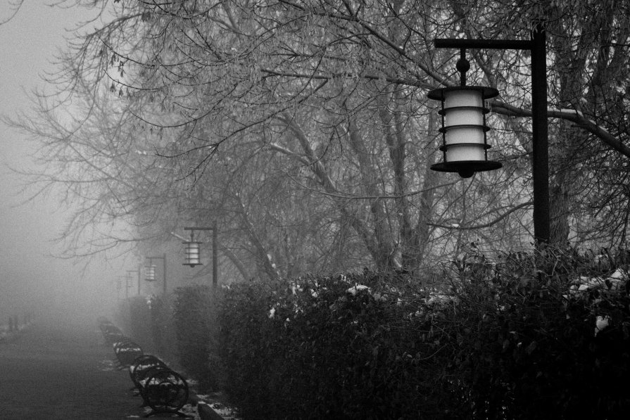 В тумане - Андрей Зарубин